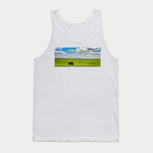 American Bison Grazing Billings County North Dakota Tank Top